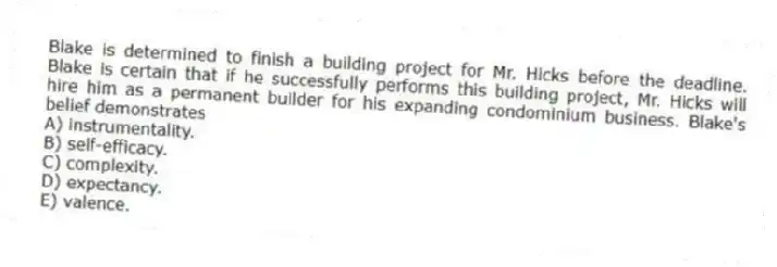 Blake is determined to finish a building project for Mr. Hicks before the deadline. Blake is certain that if he successfully performs this building project, Mr. Hicks will hire him as a permanent builder for his expanding condominium business. Blake's belief demonstrates
A) instrumentality.
B) self-efficacy.
C) complexity.
D) expectancy.
E) valence.