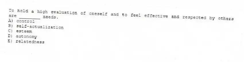 To hold a high evaluation of oneself and to feel effective and respected by others are ________ needs.
A) control
B) self-actualization
C) esteem
D) autonomy
E) relatedness