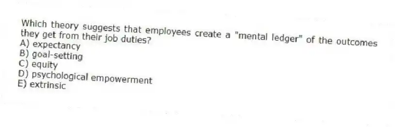 Which theory suggests that employees create a "mental ledger" of the outcomes they get from their job duties?
A) expectancy
B) goal-setting
C) equity
D) psychological empowerment
E) extrinsic