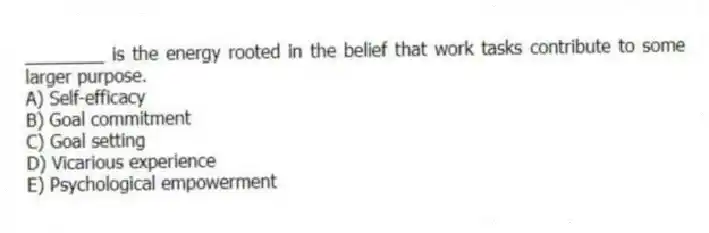 ________ is the energy rooted in the belief that work tasks contribute to some larger purpose.
A) Self-efficacy
B) Goal commitment
C) Goal setting
D) Vicarious experience
E) Psychological empowerment