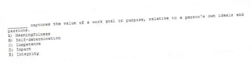 ________ captures the value of a work goal or purpose, relative to a person's own ideals and passions.
A) Meaningfulness
B) Self-determination
C) Competence
D) Impact
E) Integrity