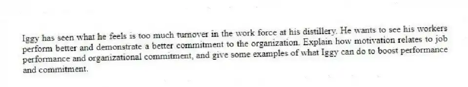 Iggy has seen what he feels is too much turnover in the work force at his distillery. He wants to see his workers perform better and demonstrate a better commitment to the organization. Explain how motivation relates to job performance and organizational commitment, and give some examples of what Iggy can do to boost performance and commitment.