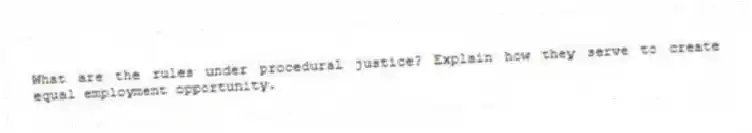 What are the rules under procedural justice? Explain how they serve to create equal employment opportunity.