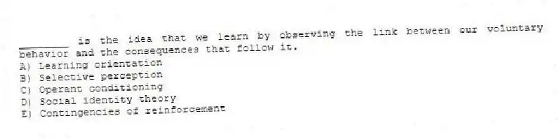 ________ is the idea that we learn by observing the link between our voluntary behavior and the consequences that follow it.
A) Learning orientation
B) Selective perception
C) Operant conditioning
D) Social identity theory
E) Contingencies of reinforcement