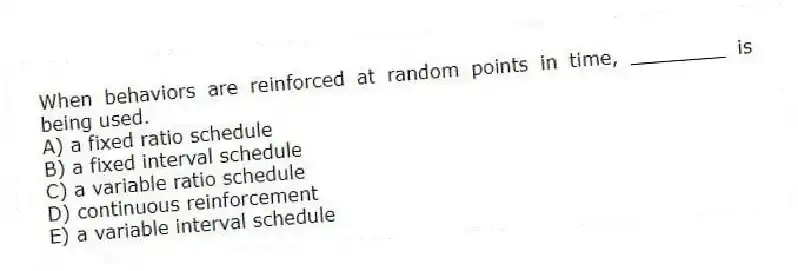 When behaviors are reinforced at random points in time, ________ is being used.
A) a fixed ratio schedule
B) a fixed interval schedule
C) a variable ratio schedule
D) continuous reinforcement
E) a variable interval schedule