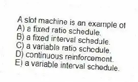 A slot machine is an example of
A) a fixed ratio schedule.
B) a fixed interval schedule.
C) a variable ratio schedule.
D) continuous reinforcement.
E) a variable interval schedule.
