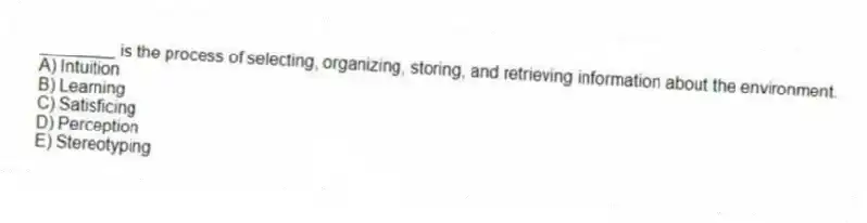 ________ is the process of selecting, organizing, storing, and retrieving information about the environment.
A) Intuition
B) Learning
C) Satisficing
D) Perception
E) Stereotyping