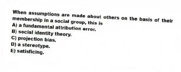 When assumptions are made about others on the basis of their membership in a social group, this is
A) a fundamental attribution error.
B) social identity theory.
C) projection bias.
D) a stereotype.
E) satisficing.