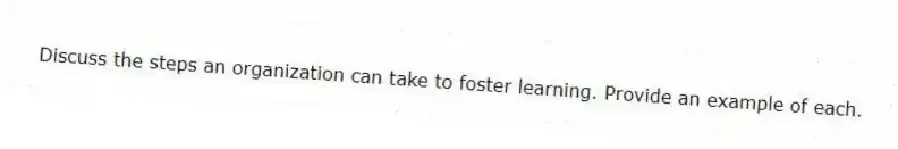Discuss the steps an organization can take to foster learning. Provide an example of each.