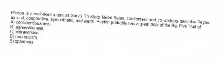 Peyton is a well-liked intern at Gary's Tri-State Metal Sales. Customers and co-workers describe Peyton as kind, cooperative, sympathetic, and warm. Peyton probably has a great deal of the Big Five Trait of
A) conscientiousness.
B) agreeableness.
C) extraversion.
D) neuroticism.
E) openness.