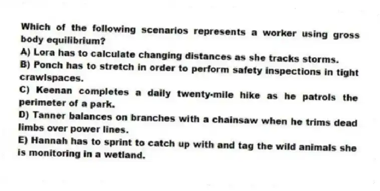 Which of the following scenarios represents a worker using gross body equilibrium?
A) Lora has to calculate changing distances as she tracks storms.
B) Ponch has to stretch in order to perform safety inspections in tight crawlspaces.
C) Keenan completes a daily twenty-mile hike as he patrols the perimeter of a park.
D) Tanner balances on branches with a chainsaw when he trims dead limbs over power lines.
E) Hannah has to sprint to catch up with and tag the wild animals she is monitoring in a wetland.