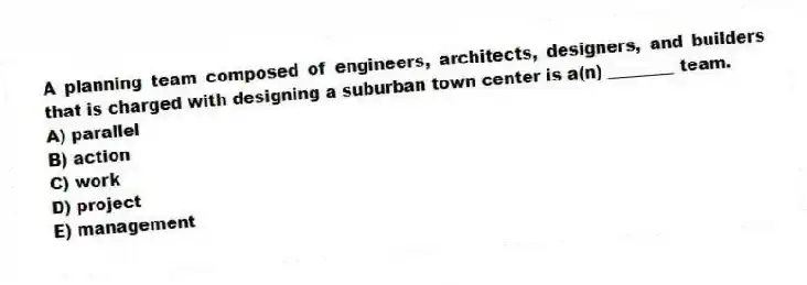 A planning team composed of engineers, architects, designers, and builders that is charged with designing a suburban town center is a(n) ________ team.
A) parallel
B) action
C) work
D) project
E) management