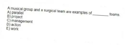 A musical group and a surgical team are examples of ________ teams.
A) parallel
B) project
C) management
D) action
E) work