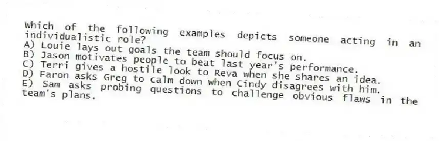 Which of the following examples depicts someone acting in an individualistic role?
A) Louie lays out goals the team should focus on.
B) Jason motivates people to beat last year's performance.
C) Terri gives a hostile look to Reva when she shares an idea.
D) Faron asks Greg to calm down when Cindy disagrees with him.
E) Sam asks probing questions to challenge obvious flaws in the team's plans.