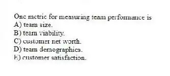 One metric for measuring team performance is
A) team size.
B) team viability.
C) customer net worth.
D) team demographics.
E) customer satisfaction.