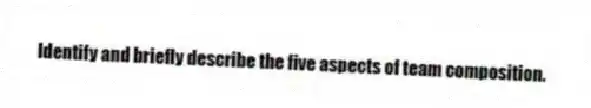Identify and briefly describe the five aspects of team composition.