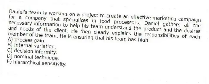 Daniel's team is working on a project to create an effective marketing campaign for a company that specializes in food processors. Daniel gathers all the necessary information to help his team understand the product and the desires and needs of the client. He then clearly explains the responsibilities of each member of the team. He is ensuring that his team has high
A) process gain.
B) internal variation.
C) decision informity.
D) nominal technique.
E) hierarchical sensitivity.