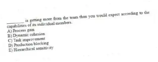________ is getting more from the team than you would expect according to the capabilities of its individual members.
A) Process gain
B) Dynamic cohesion
C) Task improvement
D) Production blocking
E) Hierarchical sensitivity