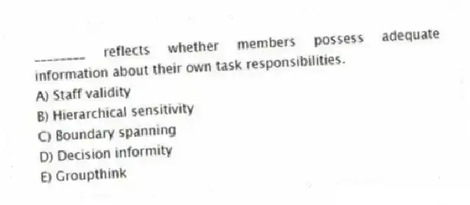 ________ reflects whether members possess adequate information about their own task responsibilities.
A) Staff validity
B) Hierarchical sensitivity
C) Boundary spanning
D) Decision informity
E) Groupthink