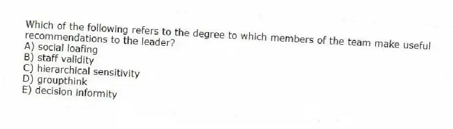 Which of the following refers to the degree to which members of the team make useful recommendations to the leader?
A) social loafing
B) staff validity
C) hierarchical sensitivity
D) groupthink
E) decision informity