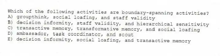 Which of the following activities are boundary-spanning activities?
A) groupthink, social loafing, and staff validity
B) decision informity, staff validity, and hierarchical sensitivity
C) transactive memory, transformative memory, and social loafing
D) ambassador, task coordinator, and scout
E) decision informity, social loafing, and transactive memory