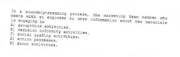 In a boundary-spanning process, the marketing team member who meets with an engineer to seek information about new materials is engaging in
A) groupthink activities.
B) decision informity activities.
C) social loafing activities.
D) action processes.
E) scout activities.