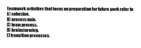 Teamwork activities that focus on preparation for future work refer to
A) cohesion.
B) process gain.
C) team process.
D) brainstorming.
E) transition processes.