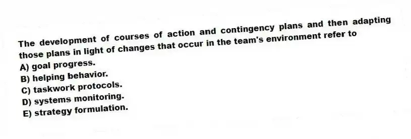 The development of courses of action and contingency plans and then adapting those plans in light of changes that occur in the team's environment refer to
A) goal progress.
B) helping behavior.
C) taskwork protocols.
D) systems monitoring.
E) strategy formulation.