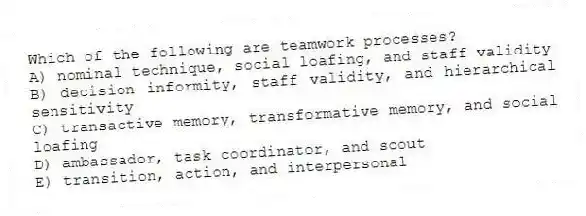 Which of the following are teamwork processes?
A) nominal technique, social loafing, and staff validity
B) decision informity, staff validity, and hierarchical sensitivity
C) transactive memory, transformative memory, and social loafing
D) ambassador, task coordinator, and scout
E) transition, action, and interpersonal