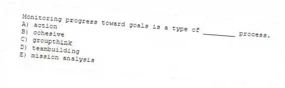 Monitoring progress toward goals is a type of ________ process.
A) action
B) cohesive
C) groupthink
D) teambuilding
E) mission analysis