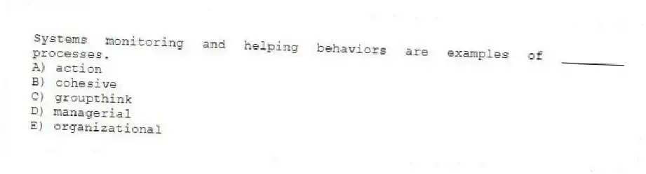 Systems monitoring and helping behaviors are examples of ________ processes.
A) action
B) cohesive
C) groupthink
D) managerial
E) organizational