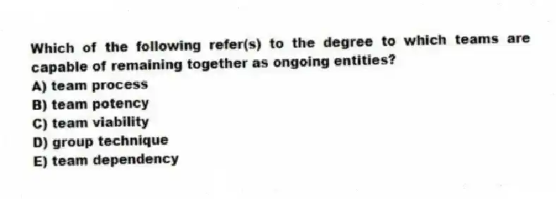 Which of the following refer(s) to the degree to which teams are capable of remaining together as ongoing entities?
A) team process
B) team potency
C) team viability
D) group technique
E) team dependency