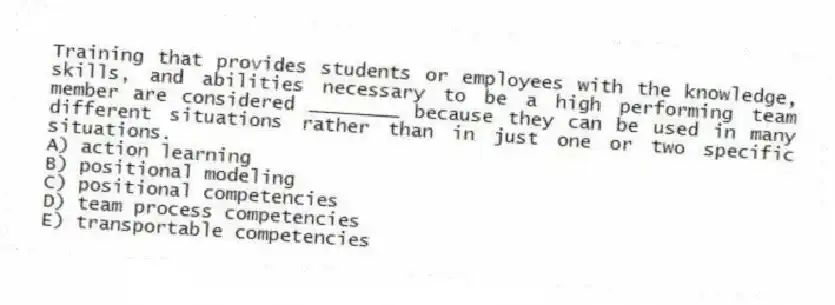 Training that provides students or employees with the knowledge, skills, and abilities necessary to be a high performing team member are considered ________ because they can be used in many different situations rather than in just one or two specific situations.
A) action learning
B) positional modeling
C) positional competencies
D) team process competencies
E) transportable competencies