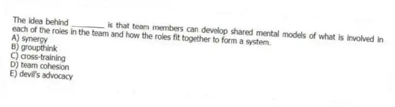 The idea behind ________ is that team members can develop shared mental models of what is involved in each of the roles in the team and how the roles fit together to form a system.
A) synergy
B) groupthink
C) cross-training
D) team cohesion
E) devil's advocacy