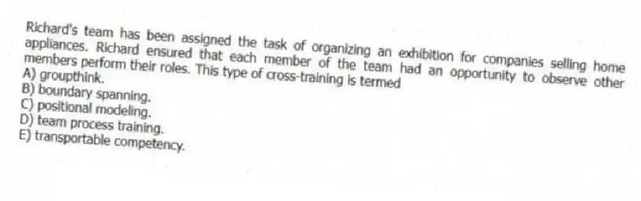 Richard's team has been assigned the task of organizing an exhibition for companies selling home appliances. Richard ensured that each member of the team had an opportunity to observe other members perform their roles. This type of cross-training is termed
A) groupthink.
B) boundary spanning.
C) positional modeling.
D) team process training.
E) transportable competency.