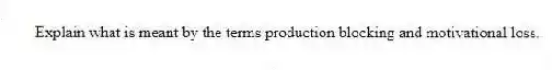 Explain what is meant by the terms production blocking and motivational loss.