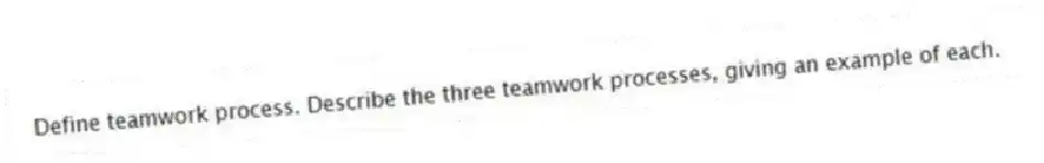 Define teamwork process. Describe the three teamwork processes, giving an example of each.