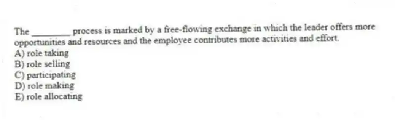 The ________ process is marked by a free-flowing exchange in which the leader offers more opportunities and resources and the employee contributes more activities and effort.
A) role taking
B) role selling
C) participating
D) role making
E) role allocating