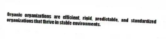 Organic organizations are efficient, rigid, predictable, and standardized organizations that thrive in stable environments.