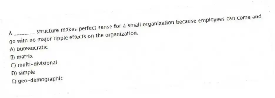A ________ structure makes perfect sense for a small organization because employees can come and go with no major ripple effects on the organization.
A) bureaucratic
B) matrix
C) multi-divisional
D) simple
E) geo-demographic
