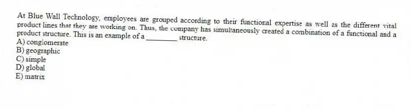 At Blue Wall Technology, employees are grouped according to their functional expertise as well as the different vital product lines that they are working on. Thus, the company has simultaneously created a combination of a functional and a product structure. This is an example of a ________ structure.
A) conglomerate
B) geographic
C) simple
D) global
E) matrix