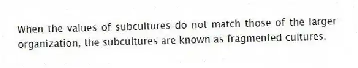 When the values of subcultures do not match those of the larger organization, the subcultures are known as fragmented cultures.