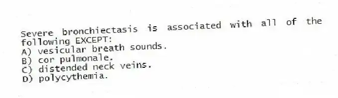 Severe bronchiectasis is associated with all of the following EXCEPT:
A) vesicular breath sounds.
B) cor pulmonale.
C) distended neck veins.
D) polycythemia.