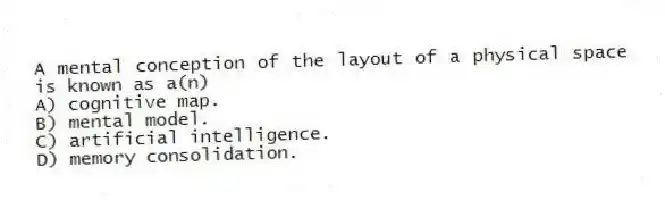 A mental conception of the layout of a physical space is known as a(n)
A) cognitive map.
B) mental model.
C) artificial intelligence.
D) memory consolidation.