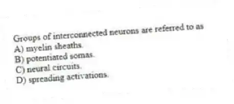 Groups of interconnected neurons are referred to as
A) myelin sheaths.
B) potentiated somas.
C) neural circuits.
D) spreading activations.