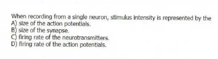 When recording from a single neuron, stimulus intensity is represented by the
A) size of the action potentials.
B) size of the synapse.
C) firing rate of the neurotransmitters.
D) firing rate of the action potentials.