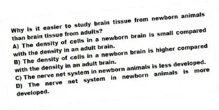 Why is it easier to study brain tissue from newborn animals than brain tissue from adults?
A) The density of cells in a newborn brain is small compared with the density in an adult brain.
B) The density of cells in a newborn brain is higher compared with the density in an adult brain.
C) The nerve net system in newborn animals is less developed.
D) The nerve net system in newborn animals is more developed.