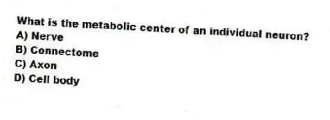 What is the metabolic center of an individual neuron?
A) Nerve
B) Connectome
C) Axon
D) Cell body