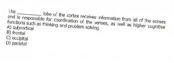 The __________ lobe of the cortex receives information from all of the senses and is responsible for coordination of the senses, as well as higher cognitive functions such as thinking and problem solving.
A) subcortical
B) frontal
C) occipital
D) parietal