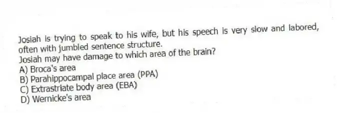 Josiah is trying to speak to his wife, but his speech is very slow and labored, often with jumbled sentence structure.
Josiah may have damage to which area of the brain?
A) Broca's area
B) Parahippocampal place area (PPA)
C) Extrastriate body area (EBA)
D) Wernicke's area